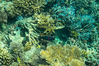 _60A7363.jpg _60A7363.jpg