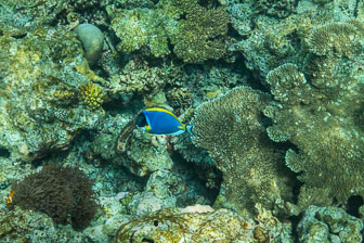 _60A7370.jpg _60A7370.jpg