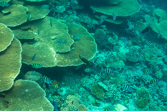 _60A7403.jpg _60A7403.jpg