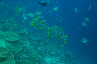 _60A7406.jpg _60A7406.jpg