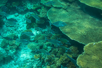 _60A7437.jpg _60A7437.jpg