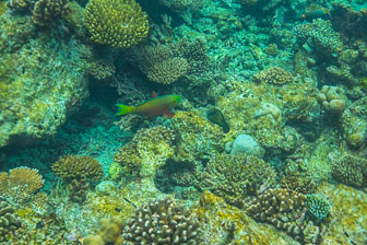 _60A7452.jpg _60A7452.jpg