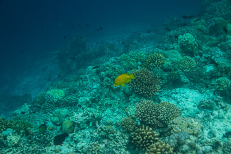 _60A7487.jpg _60A7487.jpg