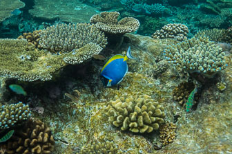 _60A7494.jpg _60A7494.jpg