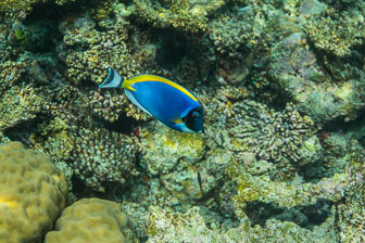 _60A7511.jpg _60A7511.jpg