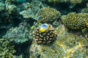 _60A7517.jpg _60A7517.jpg