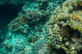 _60A7535.jpg _60A7535.jpg