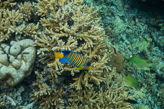 _60A7541.jpg _60A7541.jpg