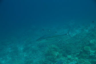 _60A7542.jpg _60A7542.jpg