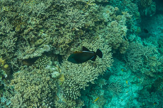 _60A7562.jpg _60A7562.jpg