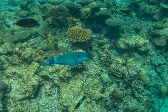 _60A7565.jpg _60A7565.jpg