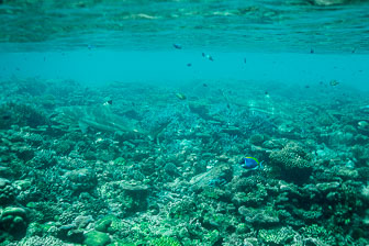 _60A7571.jpg _60A7571.jpg