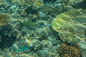 _60A7609.jpg _60A7609.jpg