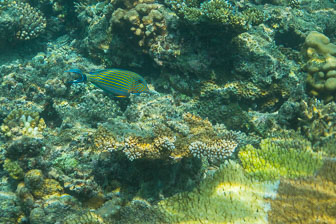 _60A7610.jpg _60A7610.jpg