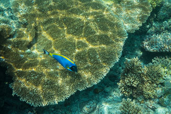 _60A7635.jpg _60A7635.jpg