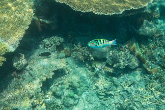 _60A7637.jpg _60A7637.jpg