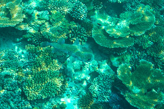 _60A7643.jpg _60A7643.jpg