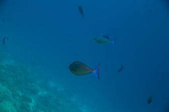 _60A7759.jpg _60A7759.jpg