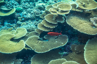 _60A7830.jpg _60A7830.jpg