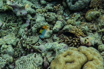 _60A7835.jpg _60A7835.jpg