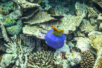 _60A7841.jpg _60A7841.jpg