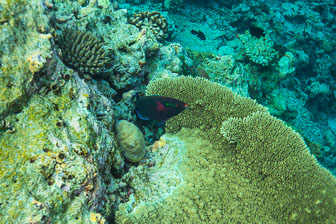 _60A7845.jpg _60A7845.jpg