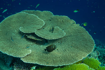 _60A7865.jpg _60A7865.jpg