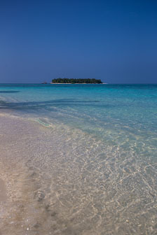 _B5P6964.jpg _B5P6964.jpg