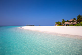 _B5P6994.jpg _B5P6994.jpg