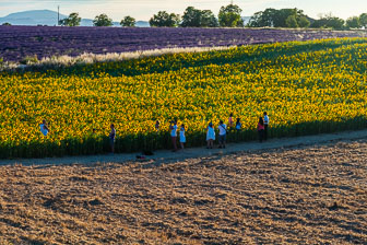 _SR10408.jpg _SR10408.jpg