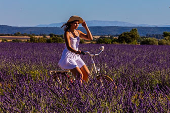 Provence