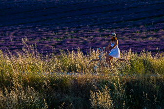 _SR20663.jpg _SR20663.jpg