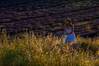 _SR20675.jpg _SR20675.jpg