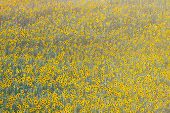 _SR20740_v1.jpg _SR20740_v1.jpg