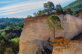 _SR20744.jpg _SR20744.jpg