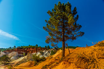 _SR20755.jpg _SR20755.jpg