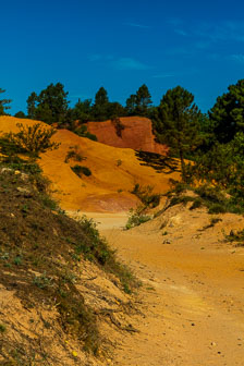 _SR20765.jpg _SR20765.jpg