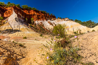 _SR20767.jpg _SR20767.jpg