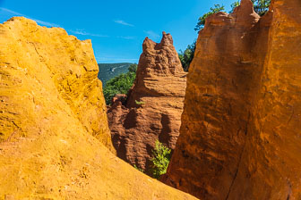 _SR20791.jpg _SR20791.jpg