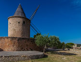 _SR21243.jpg _SR21243.jpg