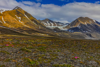 _SR24156.jpg _SR24156.jpg