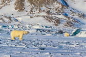 Winter in Svalbard
