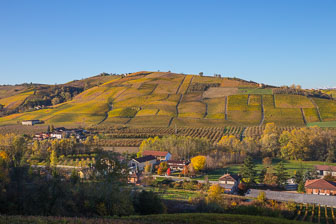 _B5P9721.jpg _B5P9721.jpg