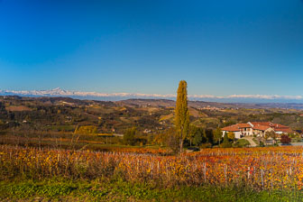 _B5P9728.jpg _B5P9728.jpg