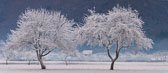 HpLEUPIN_20200117_SLV__DSF2074_C1-Pano.jpg HpLEUPIN_20200117_SLV__DSF2074_C1-Pano.jpg