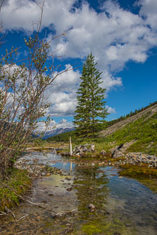 _B5P2653.jpg _B5P2653.jpg