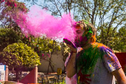 Holi Pictures