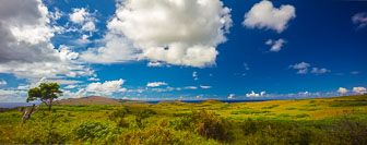 _SR12648-Pano.jpg _SR12648-Pano.jpg