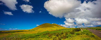 _SR12660-Pano.jpg _SR12660-Pano.jpg